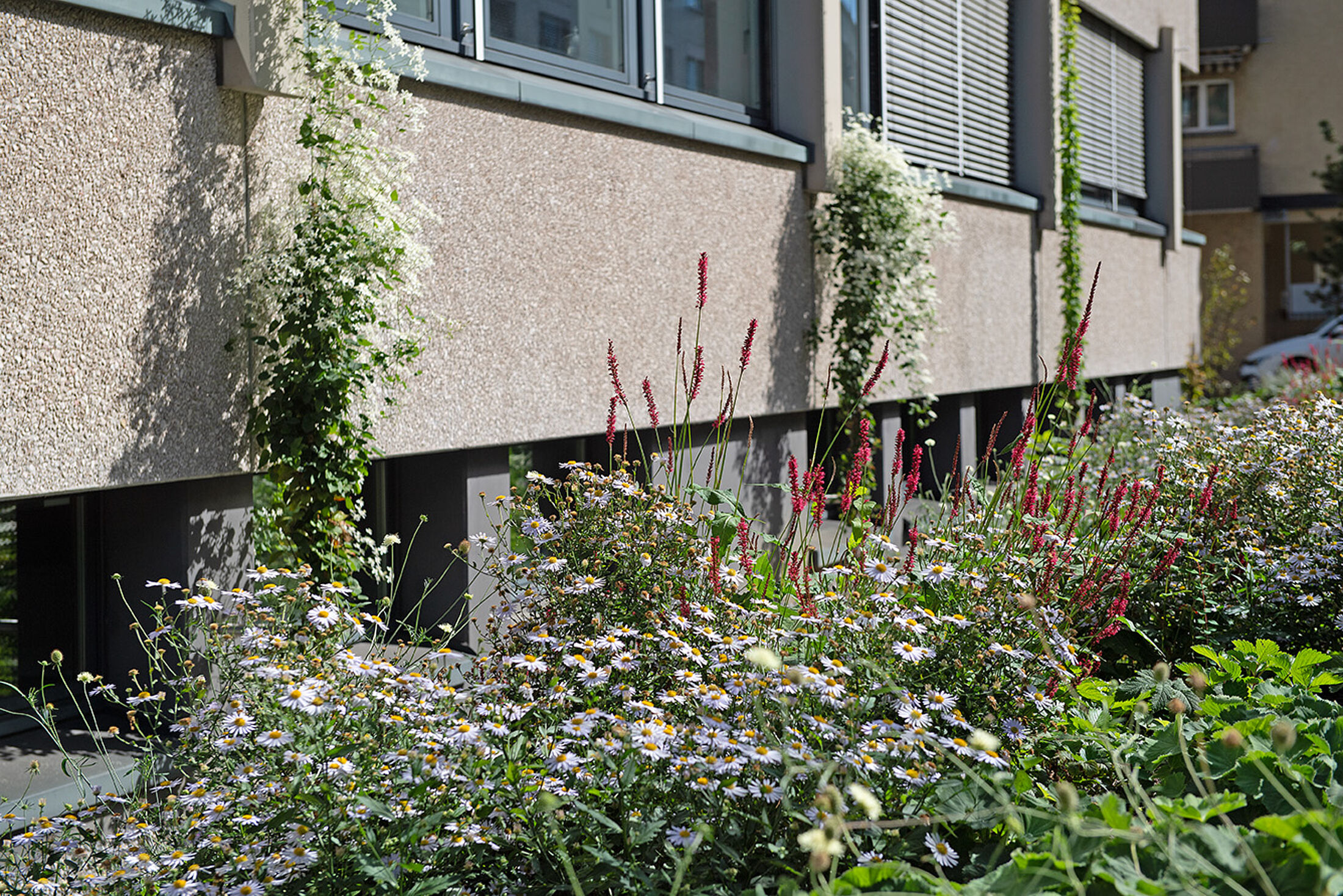 La biodiversité et la végétalisation comme facteurs de ré