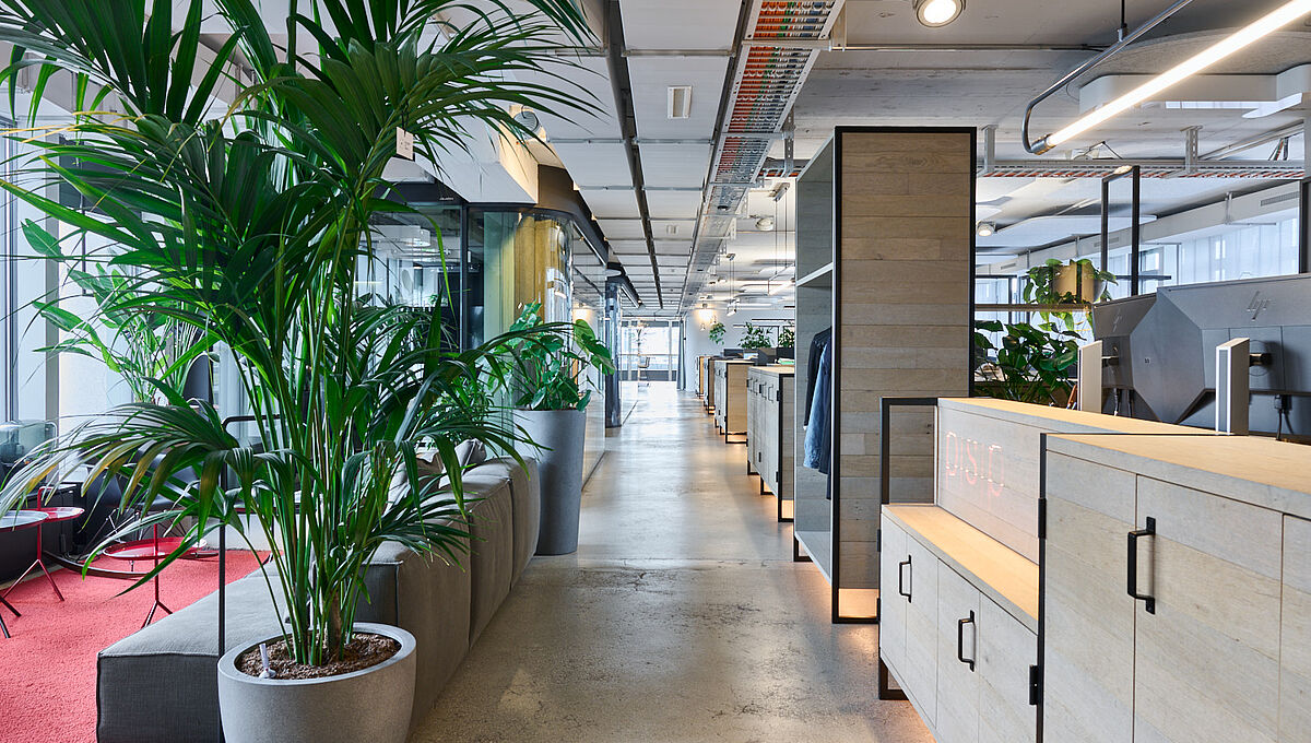 Kirschgartenstrasse 12, 14, Basel