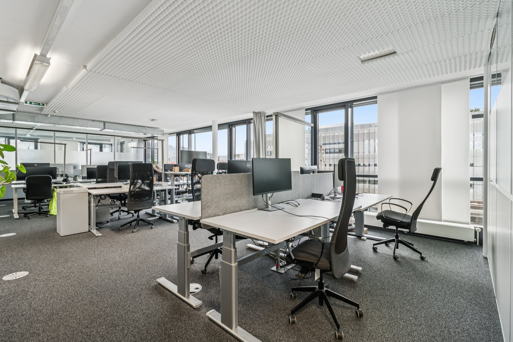 Förrlibuckstrasse 181, 